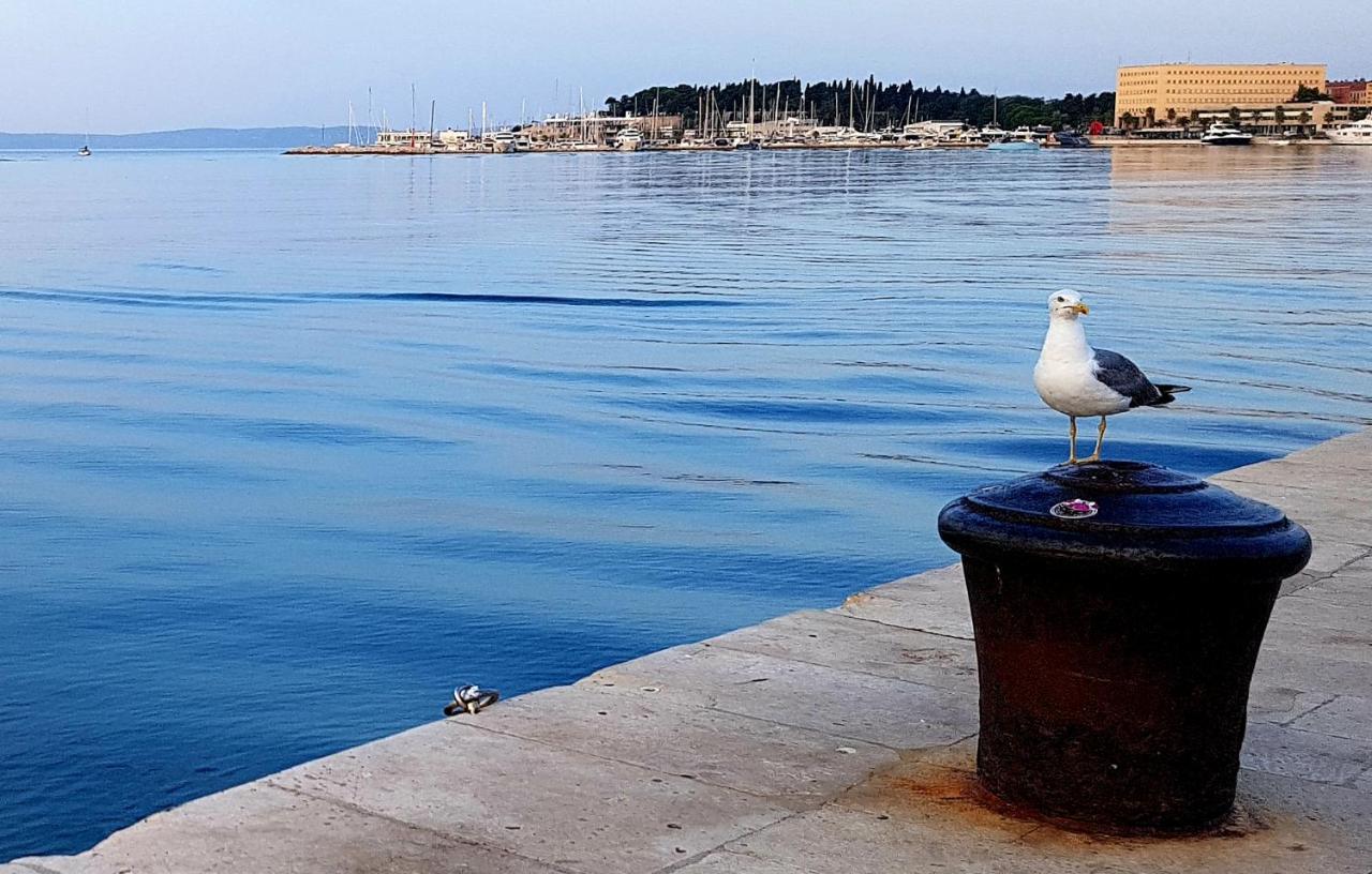 Tales Of Split - 100 Meters From The Seafront Daire Dış mekan fotoğraf